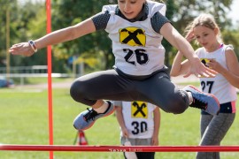 usct-koko-2020-02942