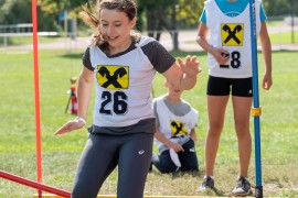 usct-koko-2020-02944