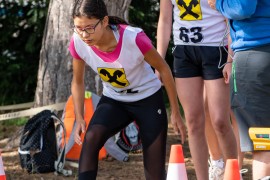 usct-koko-2020-02949