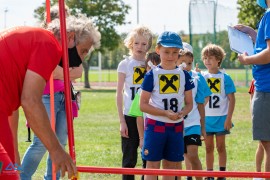 usct-koko-2020-02954