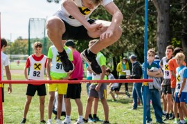 usct-koko-2020-02971