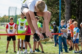 usct-koko-2020-02972