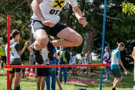 usct-koko-2020-02979