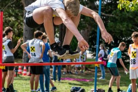 usct-koko-2020-02980