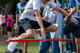 usct-koko-2020-02984