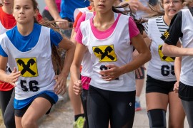 usct-koko-2020-03038