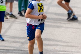 usct-koko-2020-03073