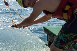 USCT Jahresabschluss 2017