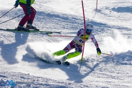 SL Zauberberg