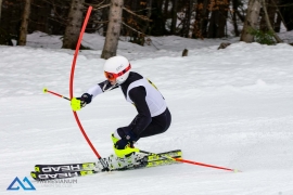 Skirennen 2018 -- USC Theresianum