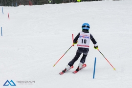 Skirennen 2018 -- USC Theresianum