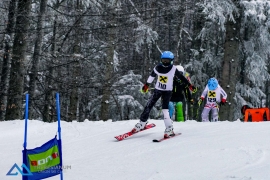 Skirennen 2018 -- USC Theresianum