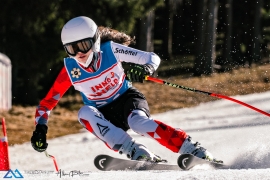 ÖWSC & ASC RSL 7.3.21