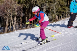 Theresianische Skimeisterschaft 2017