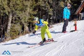 Theresianische Skimeisterschaft 2017