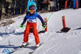 Theresianische Skimeisterschaft 2017