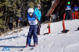 Theresianische Skimeisterschaft 2017