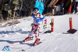Theresianische Skimeisterschaft 2017