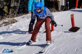 Theresianische Skimeisterschaft 2017