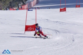 Theresianische Skimeisterschaft 2017