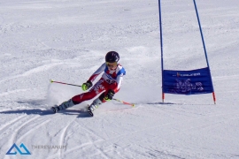 Theresianische Skimeisterschaft 2017