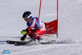 Theresianische Skimeisterschaft 2017