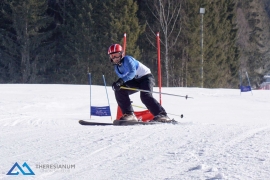 Theresianische Skimeisterschaft 2017