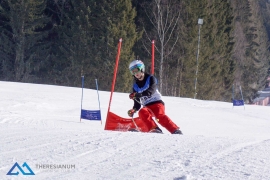 Theresianische Skimeisterschaft 2017