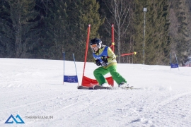 Theresianische Skimeisterschaft 2017