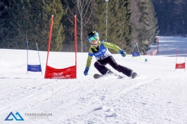 Theresianische Skimeisterschaft 2017