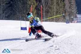 Theresianische Skimeisterschaft 2017