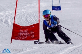 Theresianische Skimeisterschaft 2017