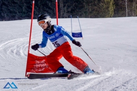 Theresianische Skimeisterschaft 2017