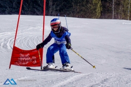 Theresianische Skimeisterschaft 2017