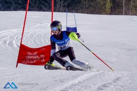 Theresianische Skimeisterschaft 2017