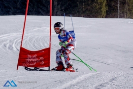Theresianische Skimeisterschaft 2017