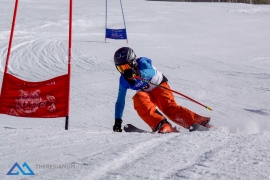 Theresianische Skimeisterschaft 2017