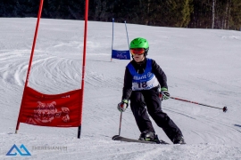 Theresianische Skimeisterschaft 2017