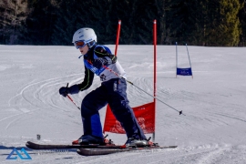 Theresianische Skimeisterschaft 2017