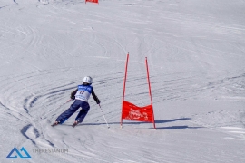 Theresianische Skimeisterschaft 2017