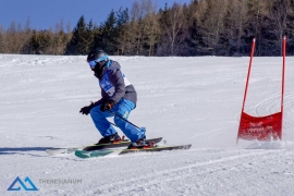 Theresianische Skimeisterschaft 2017