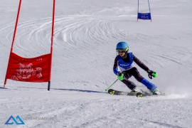 Theresianische Skimeisterschaft 2017