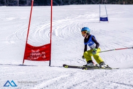 Theresianische Skimeisterschaft 2017