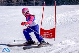 Theresianische Skimeisterschaft 2017