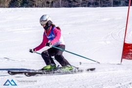 Theresianische Skimeisterschaft 2017