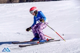 Theresianische Skimeisterschaft 2017