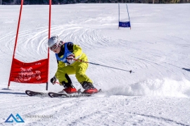 Theresianische Skimeisterschaft 2017