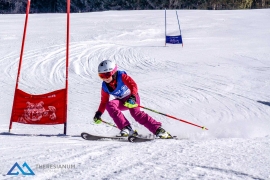 Theresianische Skimeisterschaft 2017