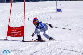 Theresianische Skimeisterschaft 2017