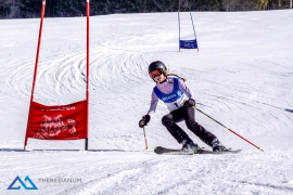 Theresianische Skimeisterschaft 2017